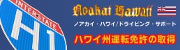 ハワイ州の運転免許取得