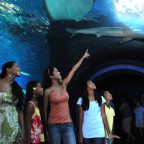 マウイ オーシャンセンター