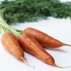 燈色のフィトケミカル-人参