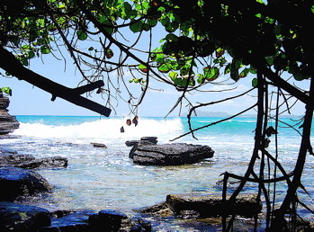 ココヘッドの海