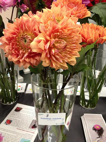 Japanese Flower Showに展示されたお花