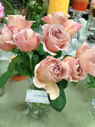 Japanese Flower Showに展示されたカフェラテローズ