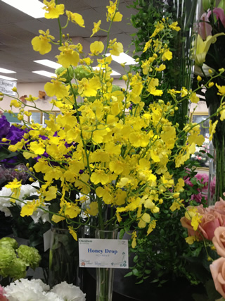 Japanese Flower Showに展示されたハニードロップ