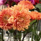 日本の花の展示会に、行ってきました！