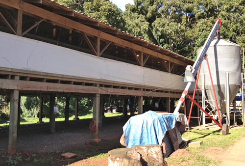 Petersons' Upland Farm