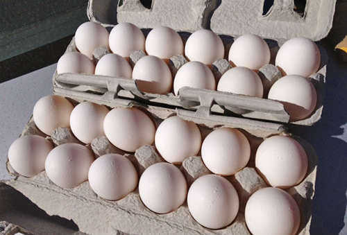 Petersons' Upland Farm