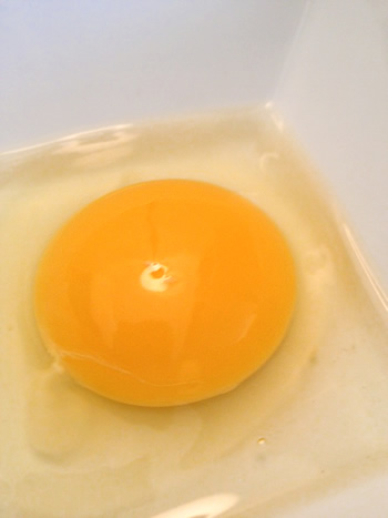 Petersons' Upland Farm