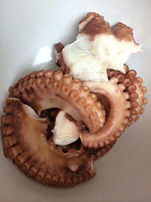 ハワイの鮮魚店 タマシロマーケットのタコ