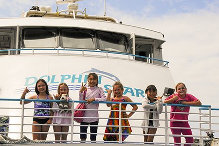 ドルフィン・スター号のイルカウォッチング