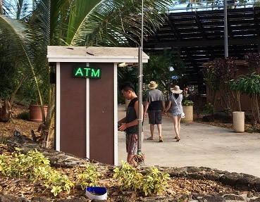 ハワイで初めてのGREEN FESTIVAL