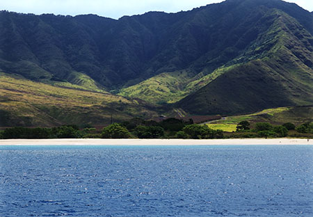 ドルフィンスター号で行くオアフ島イルカウォッチング