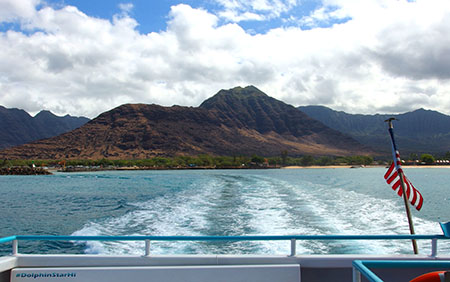 ドルフィンスター号で行くオアフ島イルカウォッチング