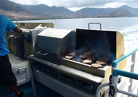 ドルフィンスター号で行くオアフ島イルカウォッチング