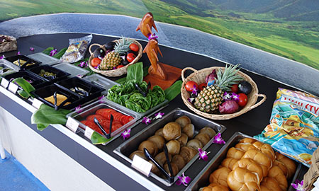 ドルフィンスター号で行くオアフ島イルカウォッチング