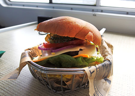 ドルフィンスター号で行くオアフ島イルカウォッチング