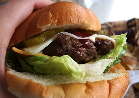 ドルフィンスター号で行くオアフ島イルカウォッチング