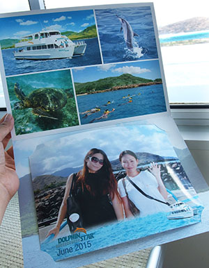 ドルフィンスター号で行くオアフ島イルカウォッチング