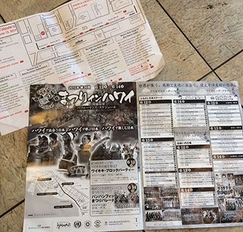 ドルフィンスター号で行くオアフ島イルカウォッチング