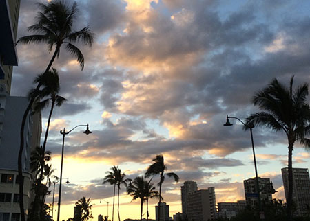 ドルフィンスター号で行くオアフ島イルカウォッチング