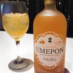 カイワ 鉄板＆寿司 うめぽん入荷