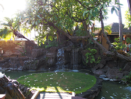 コアロハ・ウクレレ20周年パーティー @ウィローズ