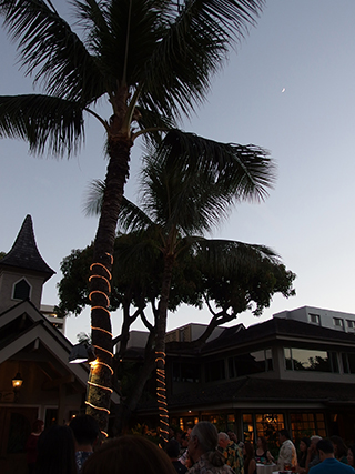 コアロハ・ウクレレ20周年パーティー @ウィローズ