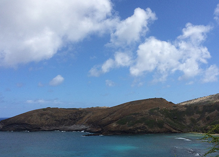 働くって楽しい 海外で見つける自分の居場所