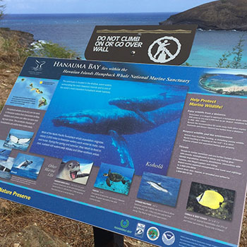 ワイキキから車で30分！ハナウマベイへ