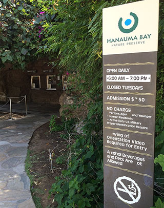 ワイキキから車で30分！ハナウマベイへ