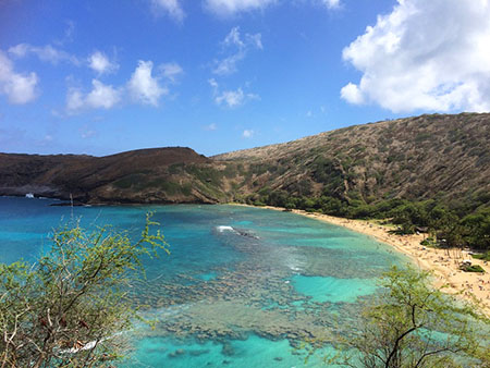 ワイキキから車で30分！ハナウマベイへ