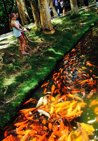 バレーオブザテンプルズ メモリアルパーク