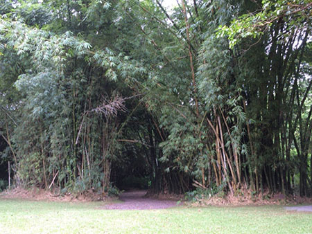 バレーオブザテンプルズ メモリアルパーク