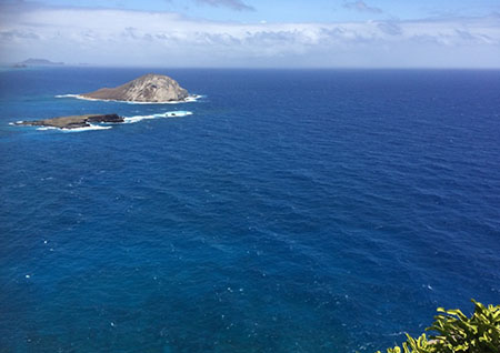 マカプウ･ライトハウス･トレイル ハイキングコース