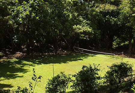 クレイジーシャツ本社