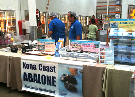 ハワイ産アワビ コナアバロニがコストコで特別販売
