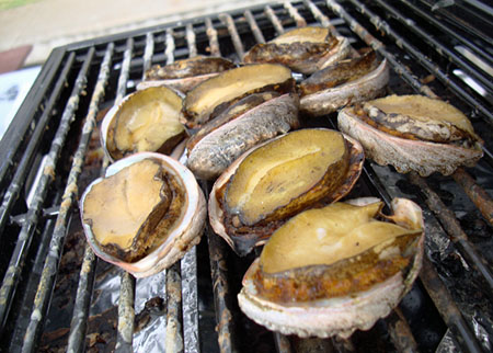 ハワイ産アワビ コナアバロニがコストコで特別販売