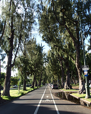 ダイヤモンドヘッド ハイキング