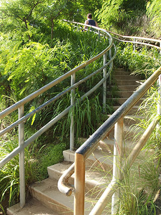 ダイヤモンドヘッド ハイキング