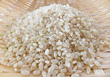 体脂肪が燃えやすい炭水化物