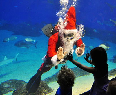 マウイオーシャンセンター