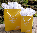 ロイヤルハワイアンセンターの元旦