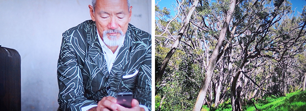 シグゼーン2016年春夏コレクション Forest Cloud