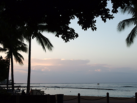 ホノルルマラソン2015