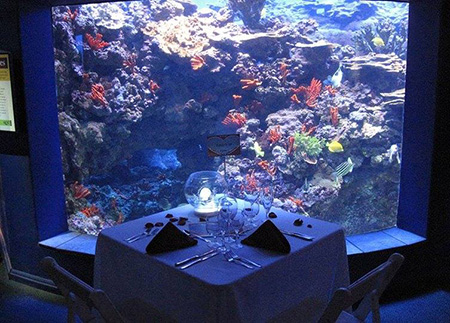 マウイ オーシャンセンターのバレンタインディナー