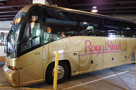 スターオブホノルル号のハワイホエールウォッチング