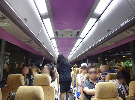 スターオブホノルル号のハワイホエールウォッチング