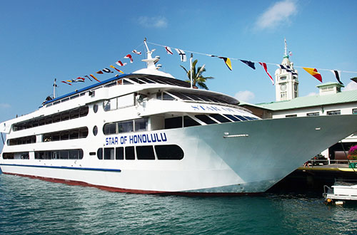 スターオブホノルル号のハワイホエールウォッチング