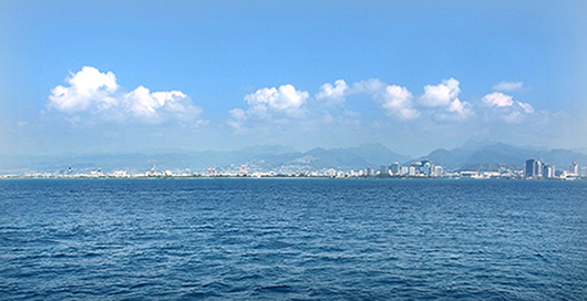 スターオブホノルル号のハワイホエールウォッチング