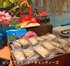 111-ハワイプロジェクトワークショップ2016 お土産ランキング1位