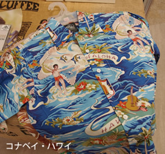 111-ハワイプロジェクトワークショップ2016 ファッションランキング1位